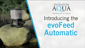 Evolution Aqua